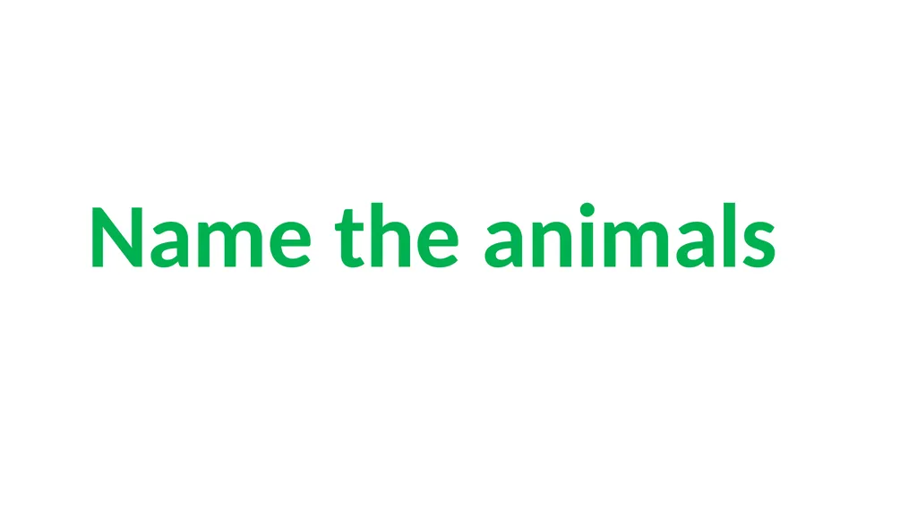 Rainforest Animals Squirrel Butterfly Snake Fish - slide 21 of 30