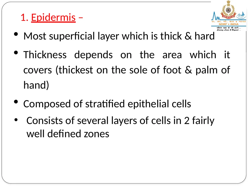 EXCRETORY SYSTEM LESSON -8 BY JITENDER YADAV - slide 6 of 16