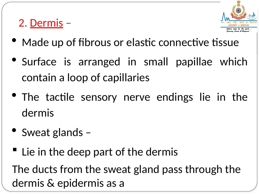 EXCRETORY SYSTEM LESSON -8 BY JITENDER YADAV - slide 9 of 16