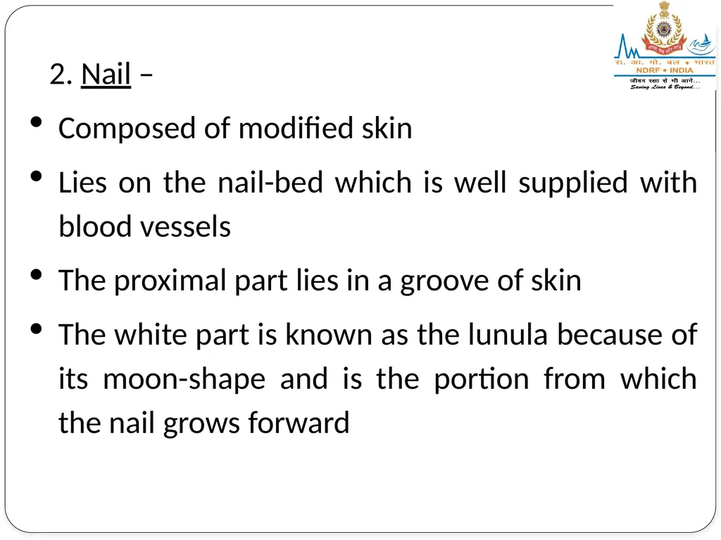 EXCRETORY SYSTEM LESSON -8 BY JITENDER YADAV - slide 12 of 16