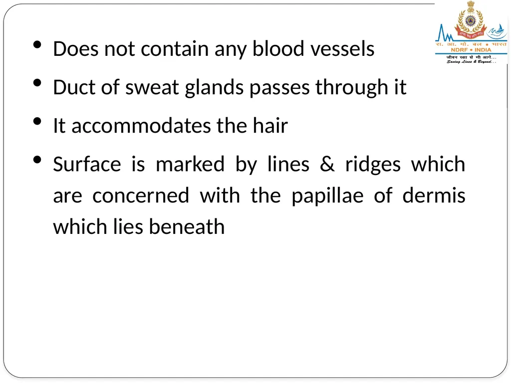EXCRETORY SYSTEM LESSON -8 BY JITENDER YADAV - slide 8 of 16