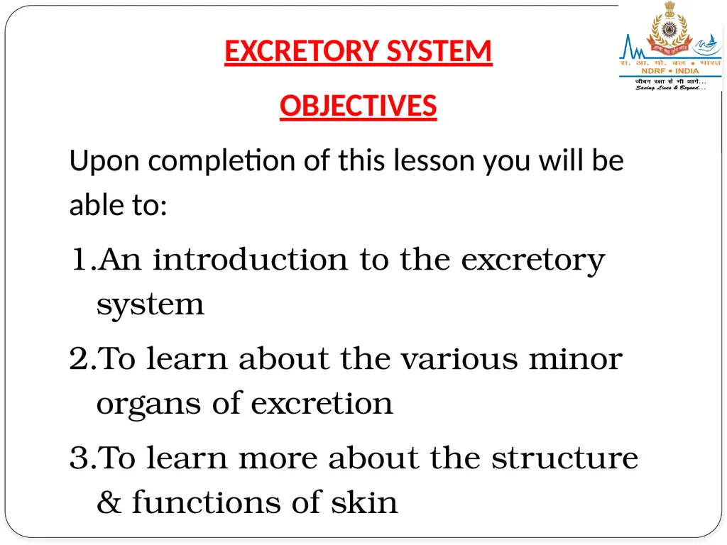 EXCRETORY SYSTEM LESSON -8 BY JITENDER YADAV - slide 2 of 16