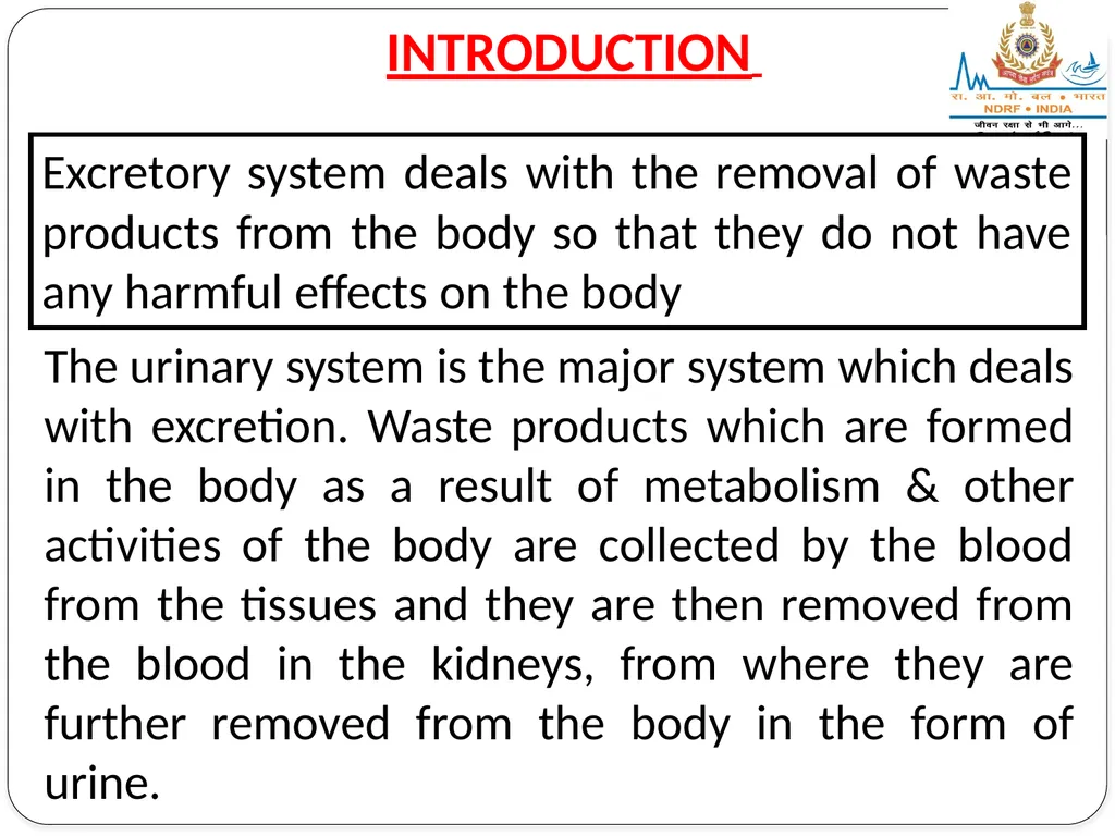 EXCRETORY SYSTEM LESSON -8 BY JITENDER YADAV - slide 3 of 16