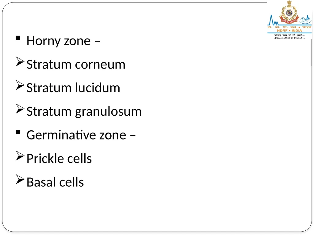 EXCRETORY SYSTEM LESSON -8 BY JITENDER YADAV - slide 7 of 16