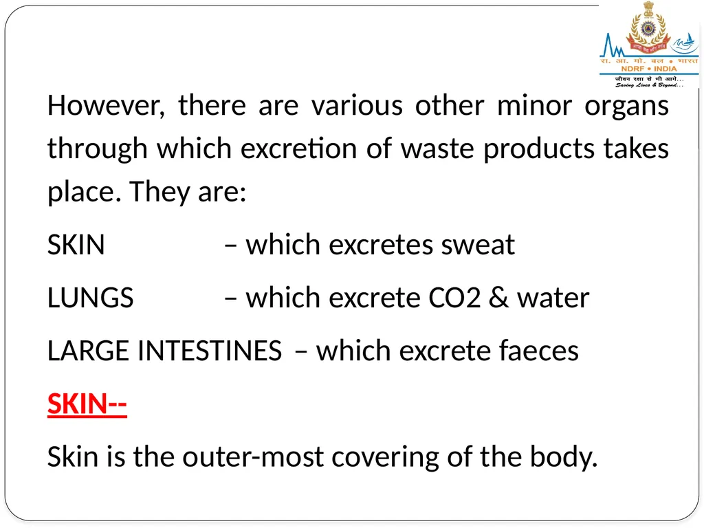 EXCRETORY SYSTEM LESSON -8 BY JITENDER YADAV - slide 4 of 16