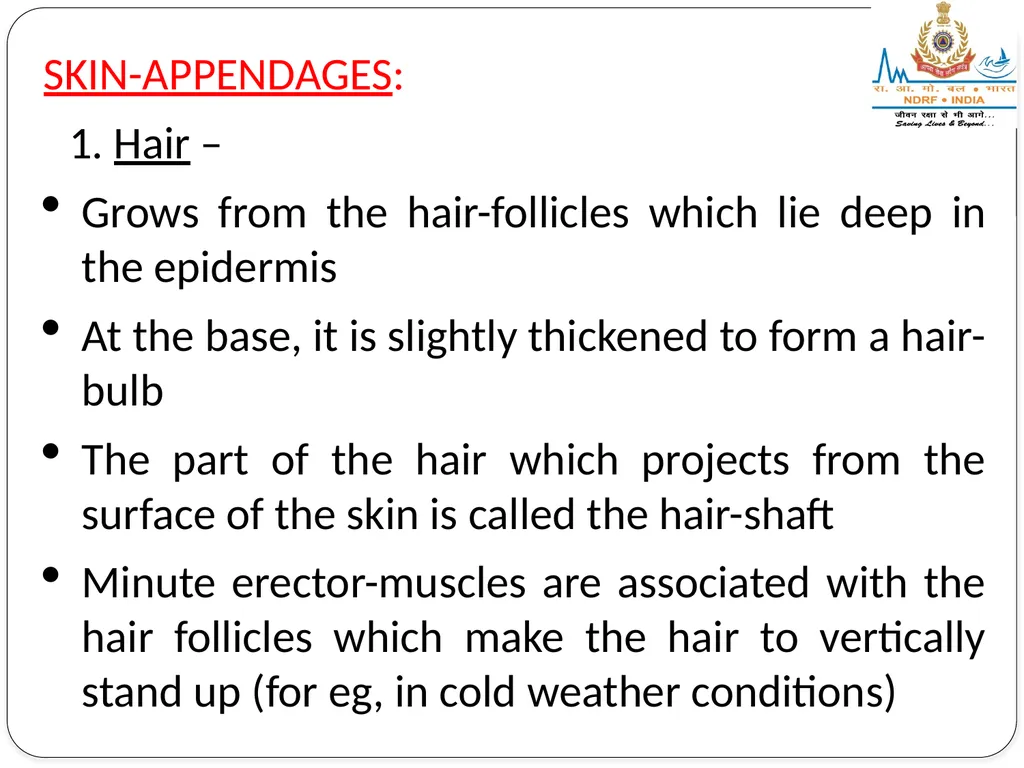 EXCRETORY SYSTEM LESSON -8 BY JITENDER YADAV - slide 11 of 16