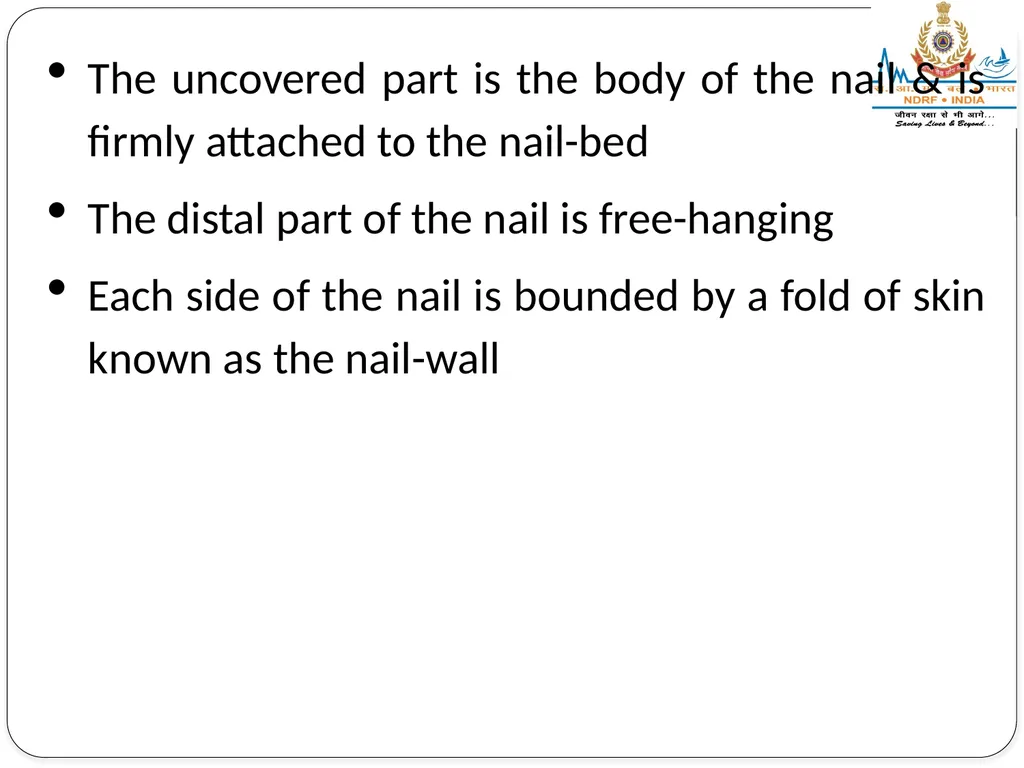 EXCRETORY SYSTEM LESSON -8 BY JITENDER YADAV - slide 13 of 16