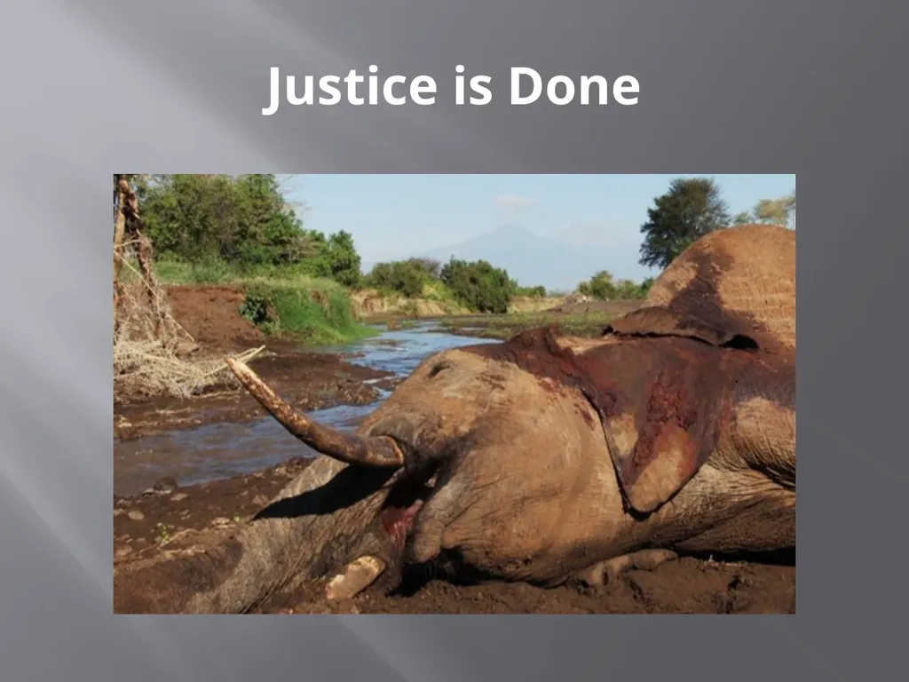 PowerPoint Presentation On Shooting an Elephant - slide 13 of 17