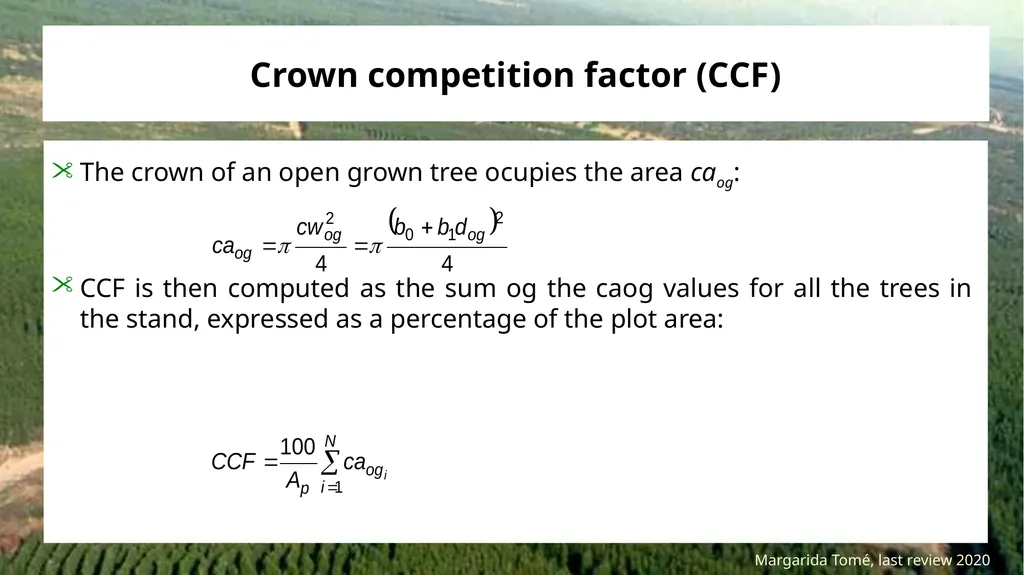 Stand density measures Stocking and stand density - slide 14 of 20