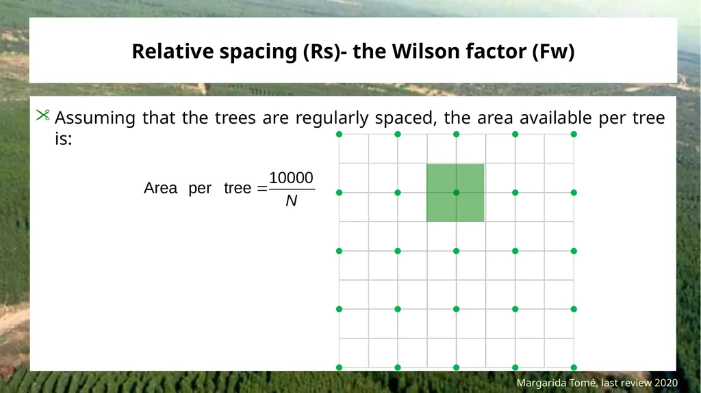 Stand density measures Stocking and stand density - slide 16 of 20