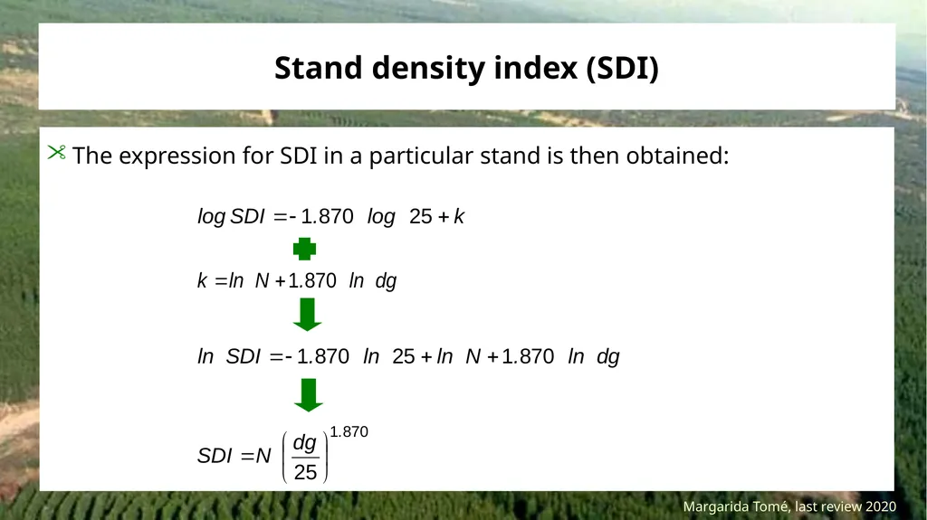 Stand density measures Stocking and stand density - slide 11 of 20