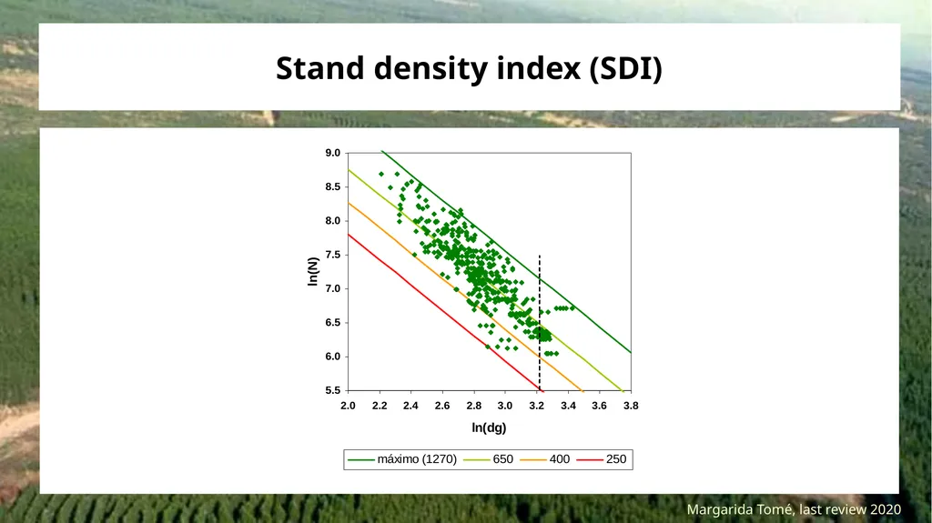 Stand density measures Stocking and stand density - slide 12 of 20