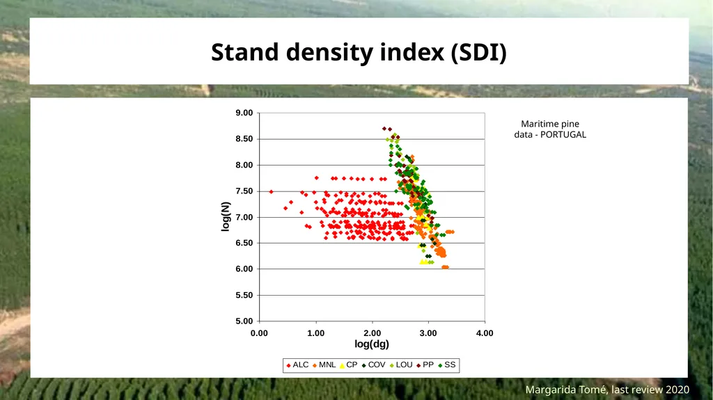 Stand density measures Stocking and stand density - slide 6 of 20