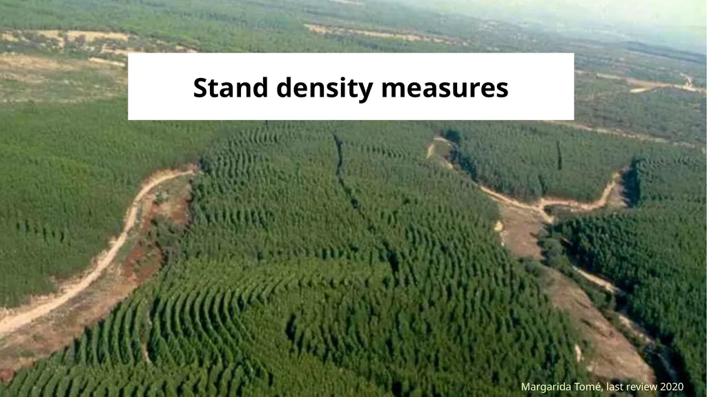 Stand density measures Stocking and stand density - slide 1 of 20