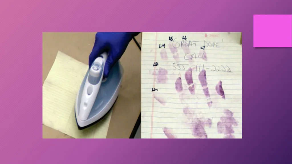 DEVELOPMENT OF FINGERPRINTS CHAPTER 6 CHANCE - slide 15 of 17