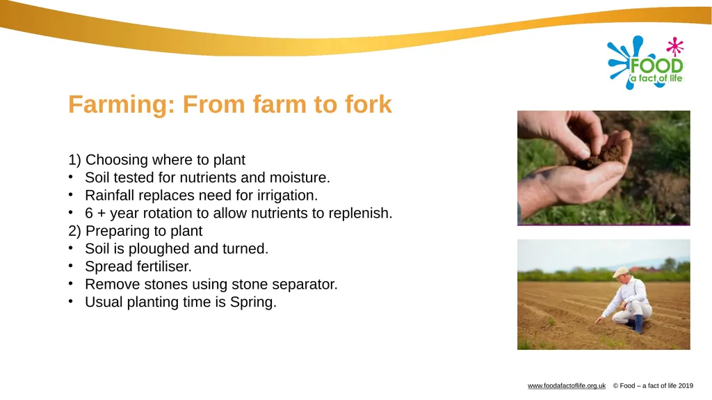 Farming: Growing potatoes Information, ideas and - slide 6 of 11