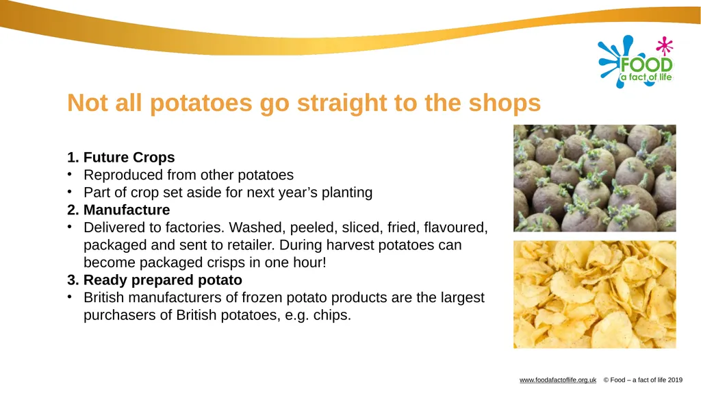 Farming: Growing potatoes Information, ideas and - slide 10 of 11