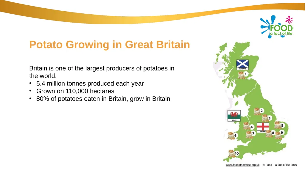 Farming: Growing potatoes Information, ideas and - slide 3 of 11
