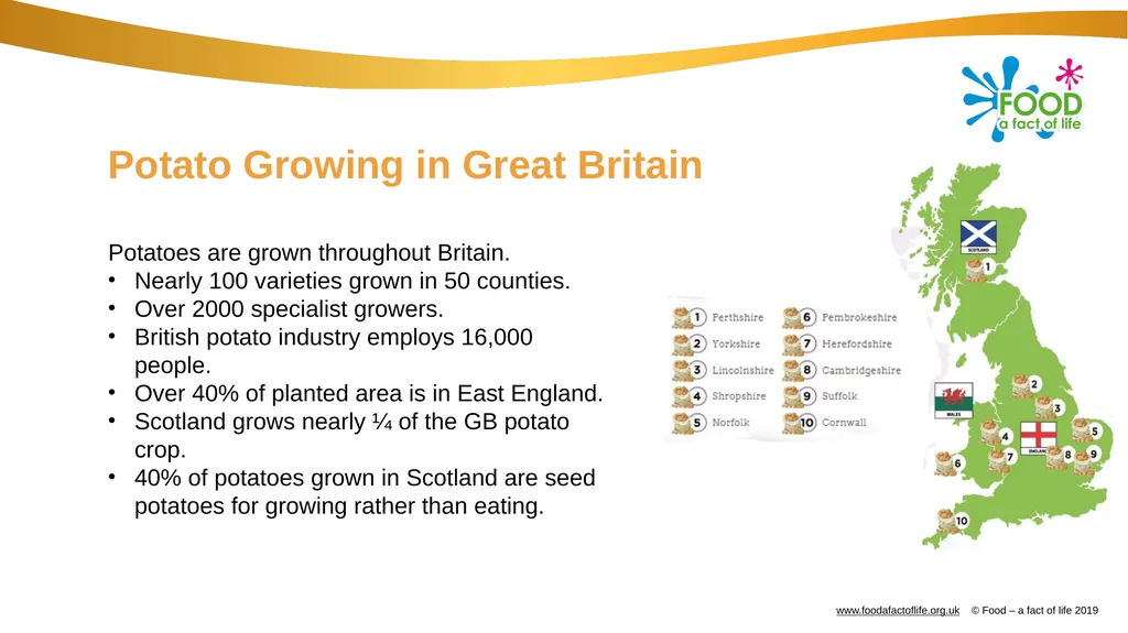 Farming: Growing potatoes Information, ideas and - slide 4 of 11