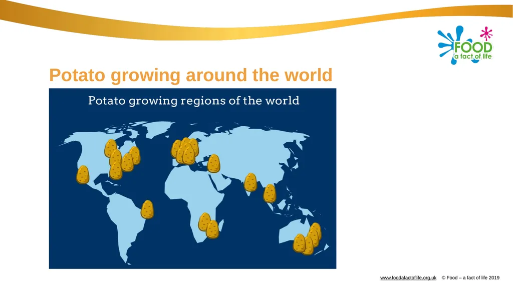 Farming: Growing potatoes Information, ideas and - slide 5 of 11