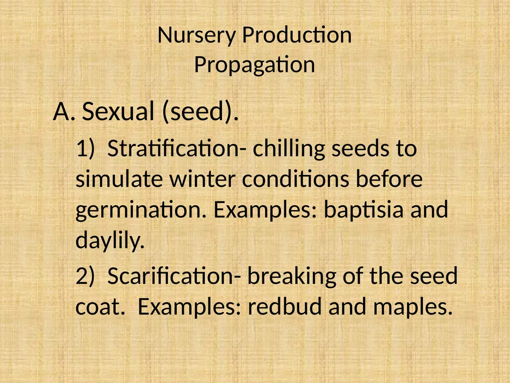 Understand nursery management Understand nursery - slide 3 of 26
