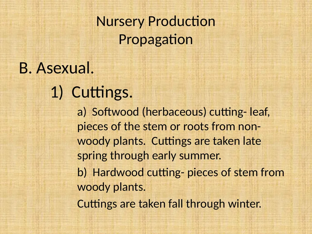Understand nursery management Understand nursery - slide 4 of 26