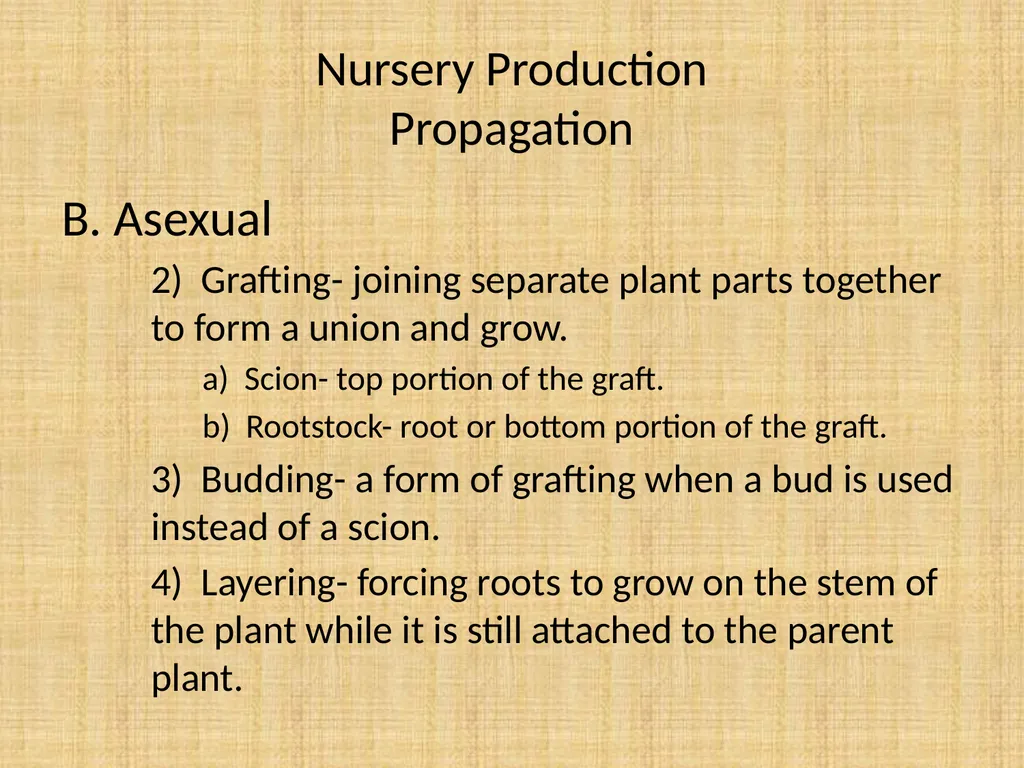 Understand nursery management Understand nursery - slide 5 of 26
