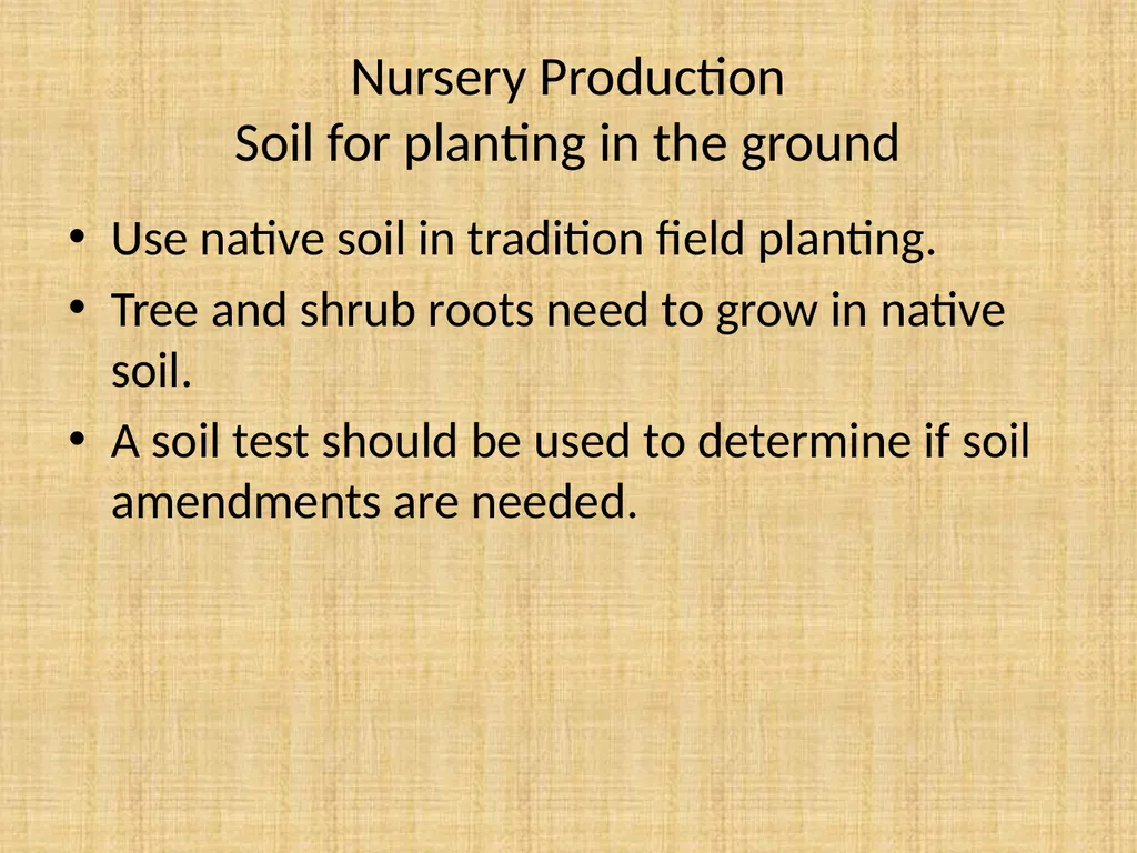 Understand nursery management Understand nursery - slide 12 of 26
