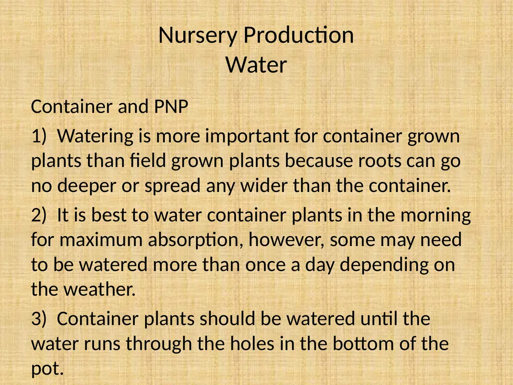 Understand nursery management Understand nursery - slide 17 of 26