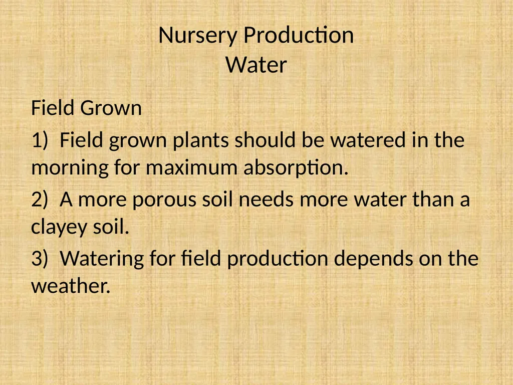 Understand nursery management Understand nursery - slide 19 of 26