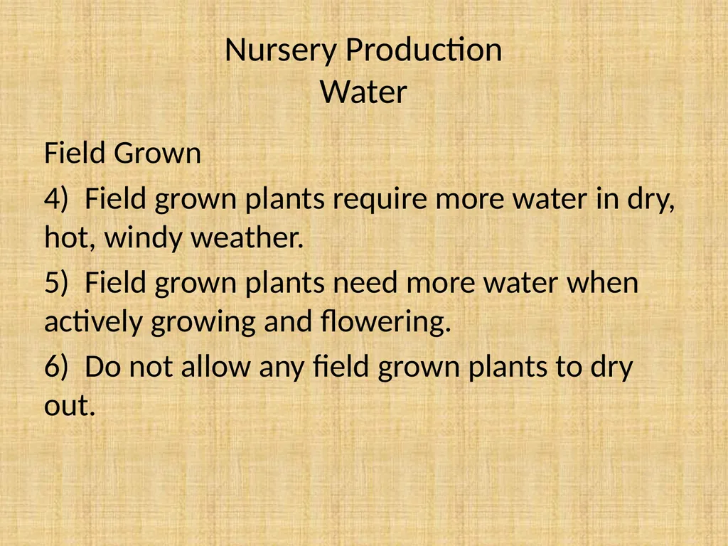 Understand nursery management Understand nursery - slide 20 of 26