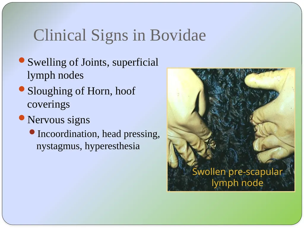 Dr Padma Nibash Panigrahi Assistant Professor - slide 9 of 24