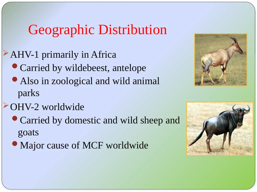 Dr Padma Nibash Panigrahi Assistant Professor - slide 3 of 24