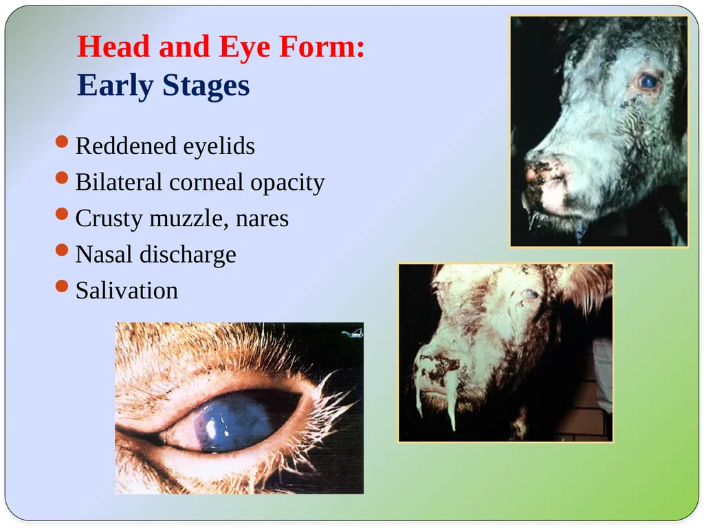 Dr Padma Nibash Panigrahi Assistant Professor - slide 7 of 24