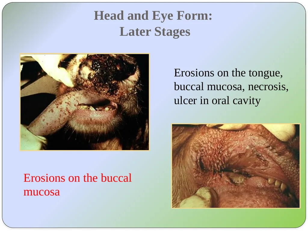 Dr Padma Nibash Panigrahi Assistant Professor - slide 8 of 24