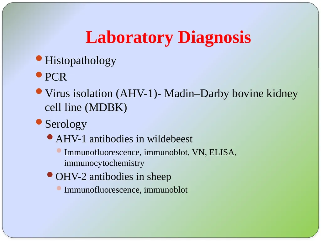 Dr Padma Nibash Panigrahi Assistant Professor - slide 17 of 24