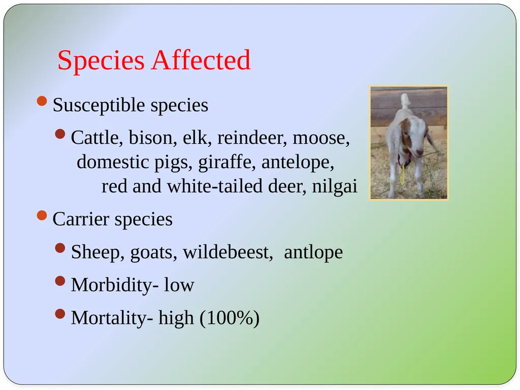 Dr Padma Nibash Panigrahi Assistant Professor - slide 4 of 24