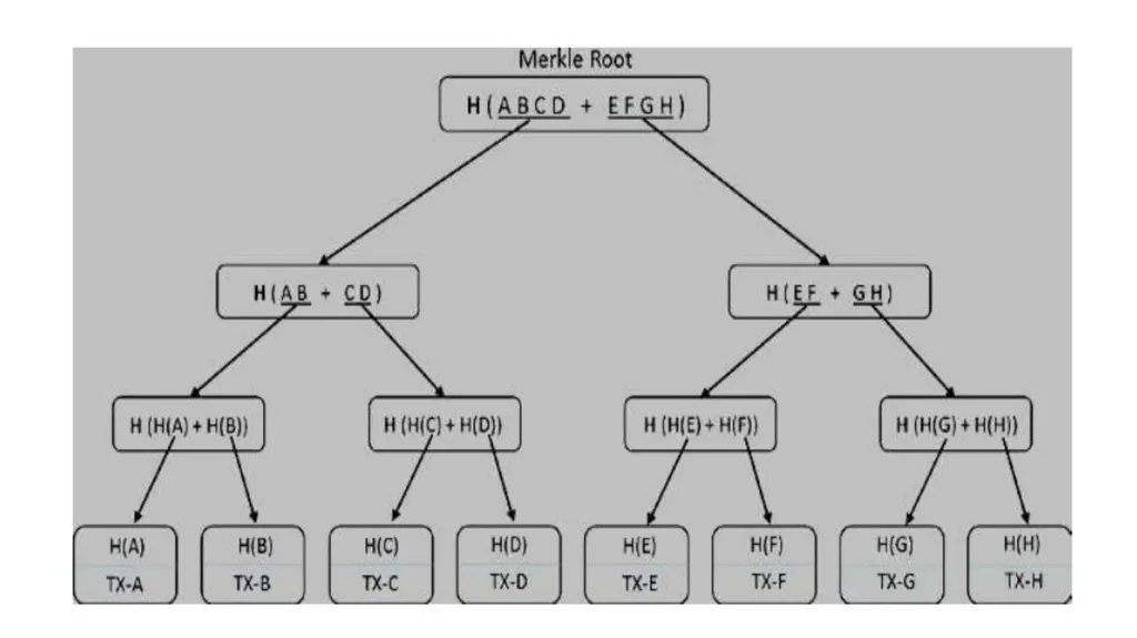 Merkle Trees A Merkle tree is a binary hash tree. - slide 2 of 11