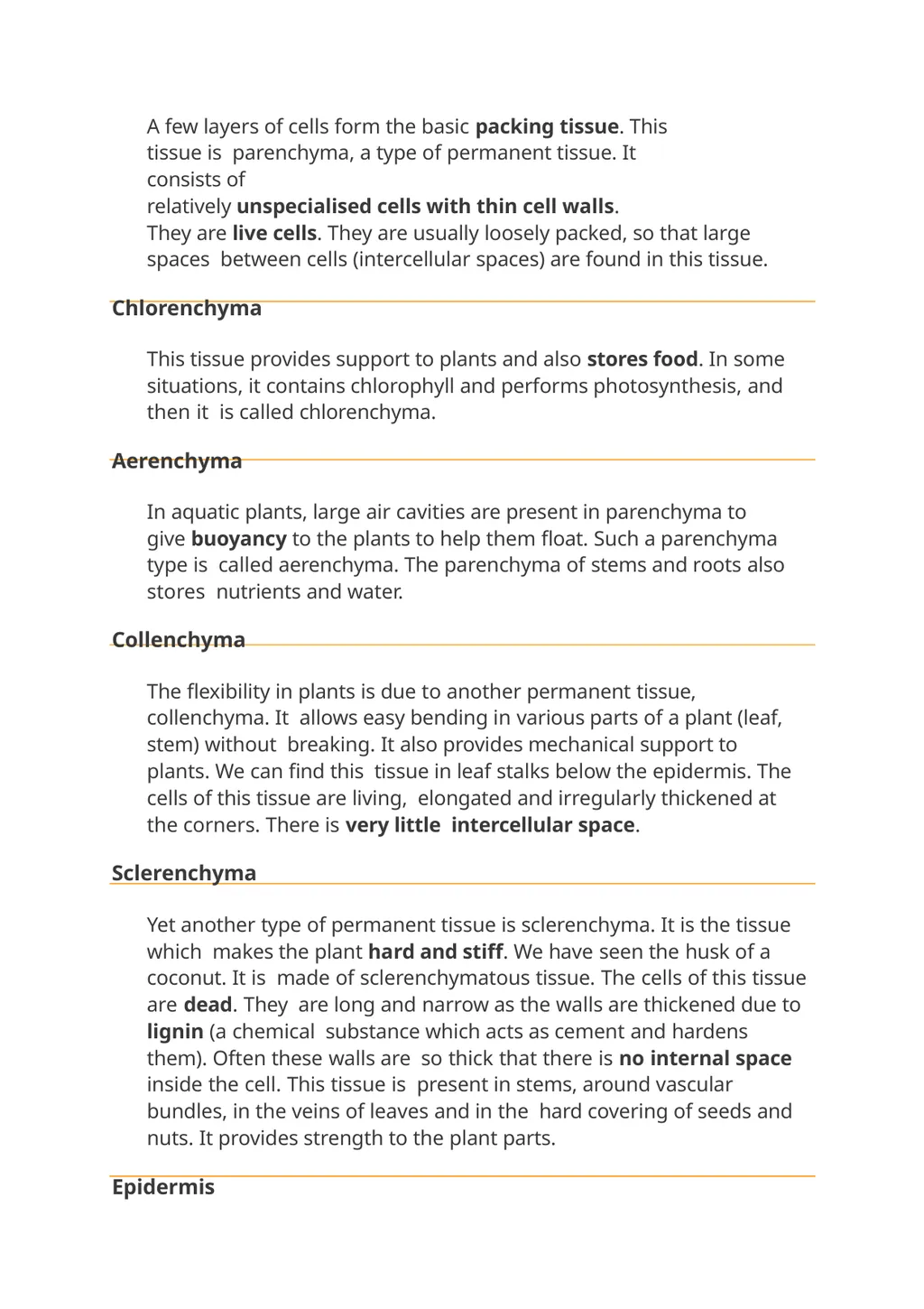 Meristmatic and permanent tissue Contains . Root - slide 5 of 10