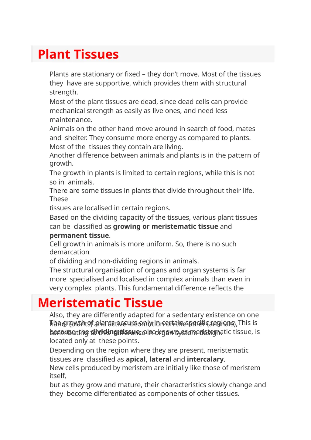 Meristmatic and permanent tissue Contains . Root - slide 2 of 10