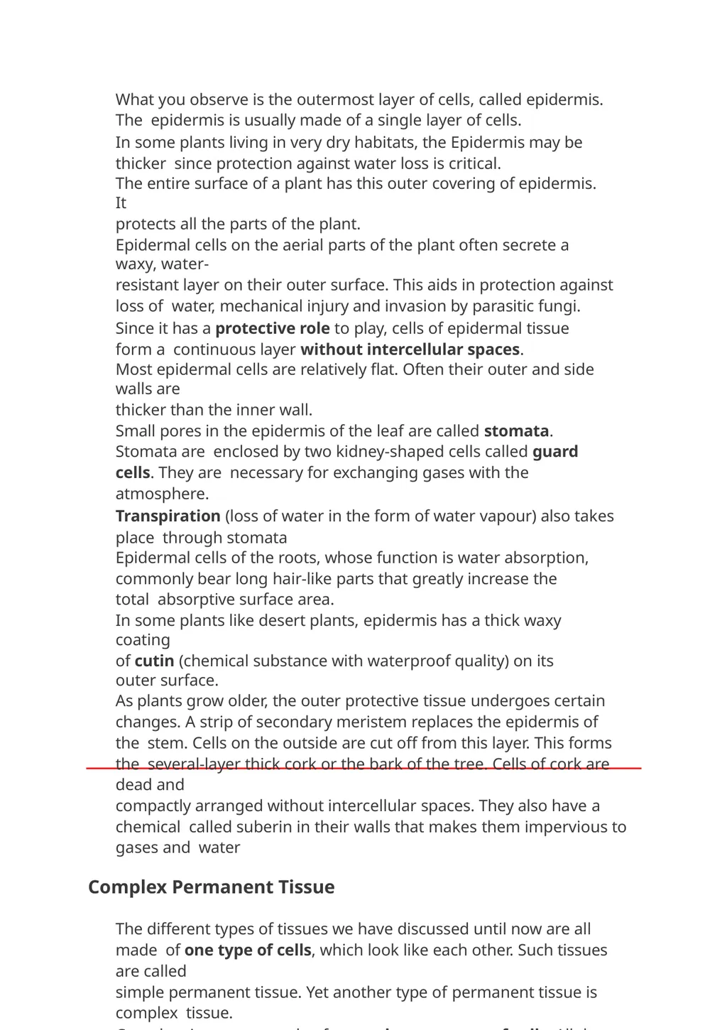 Meristmatic and permanent tissue Contains . Root - slide 6 of 10