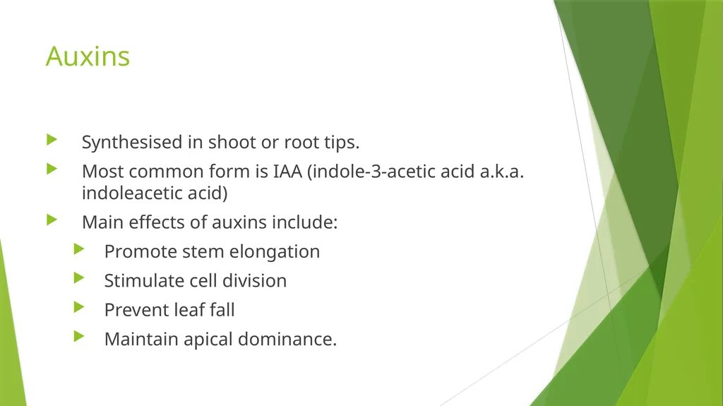 Plant Growth Learning outcomes Evaluate the - slide 8 of 20