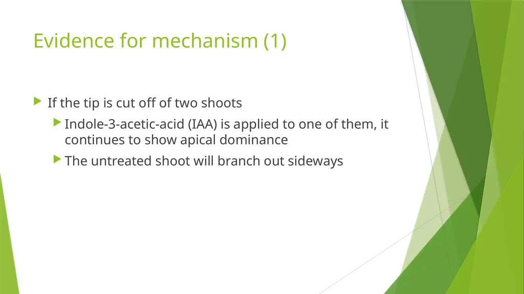 Plant Growth Learning outcomes Evaluate the - slide 13 of 20