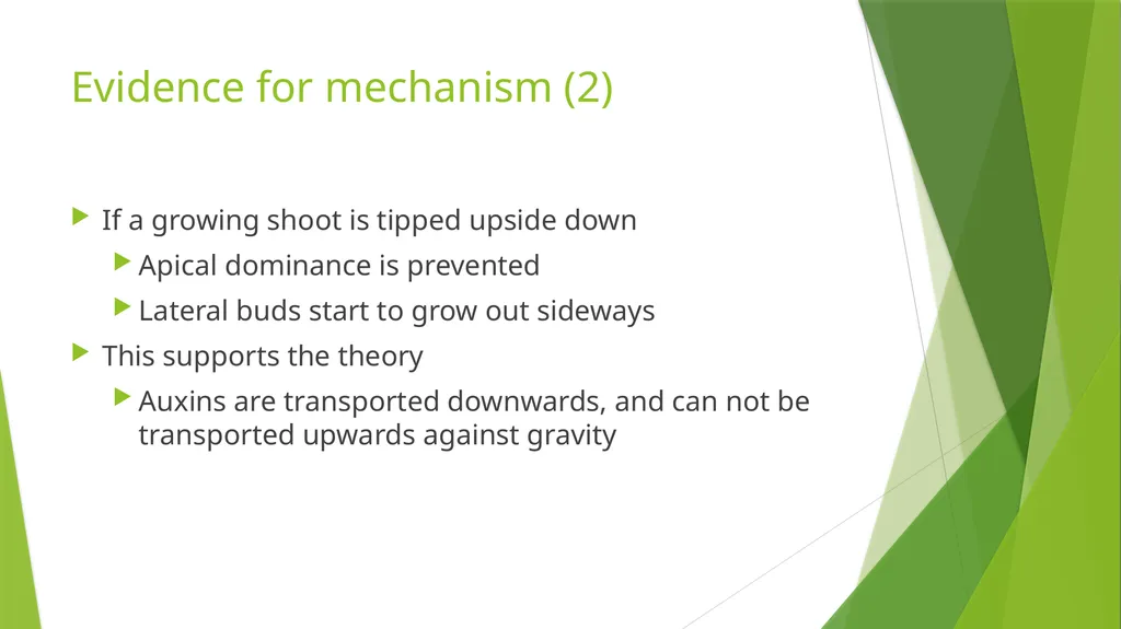 Plant Growth Learning outcomes Evaluate the - slide 14 of 20