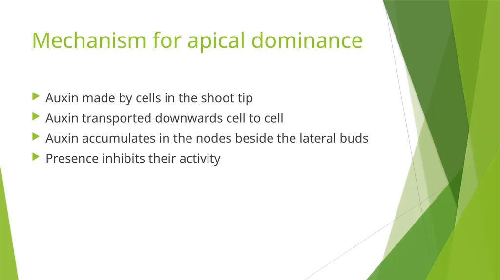 Plant Growth Learning outcomes Evaluate the - slide 12 of 20