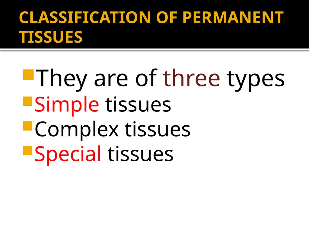 PERMANENT TISSUES Dr. Rohini Trivedi Permanent - slide 3 of 33