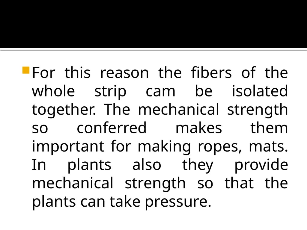 PERMANENT TISSUES Dr. Rohini Trivedi Permanent - slide 26 of 33