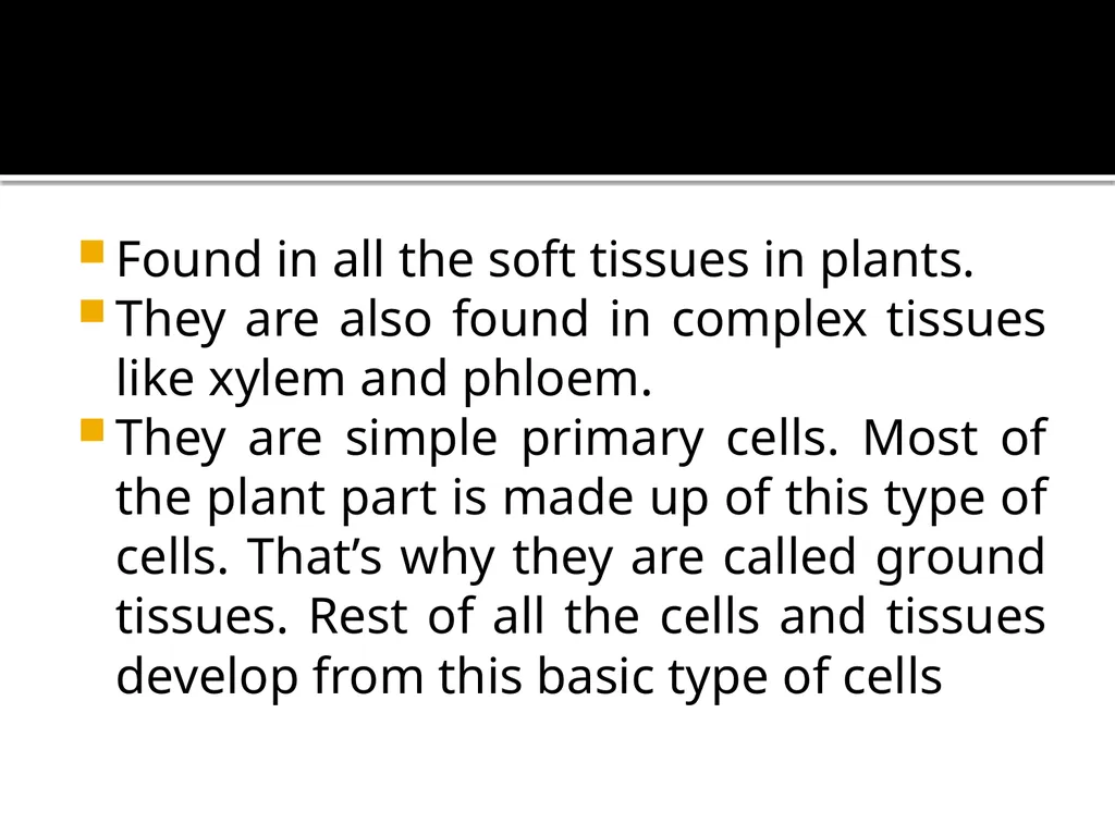 PERMANENT TISSUES Dr. Rohini Trivedi Permanent - slide 6 of 33