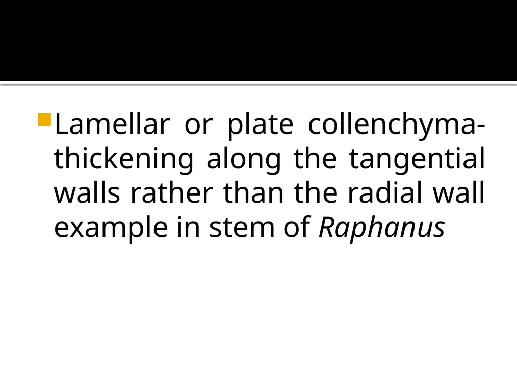 PERMANENT TISSUES Dr. Rohini Trivedi Permanent - slide 18 of 33