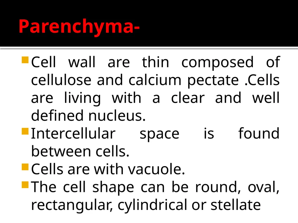 PERMANENT TISSUES Dr. Rohini Trivedi Permanent - slide 5 of 33